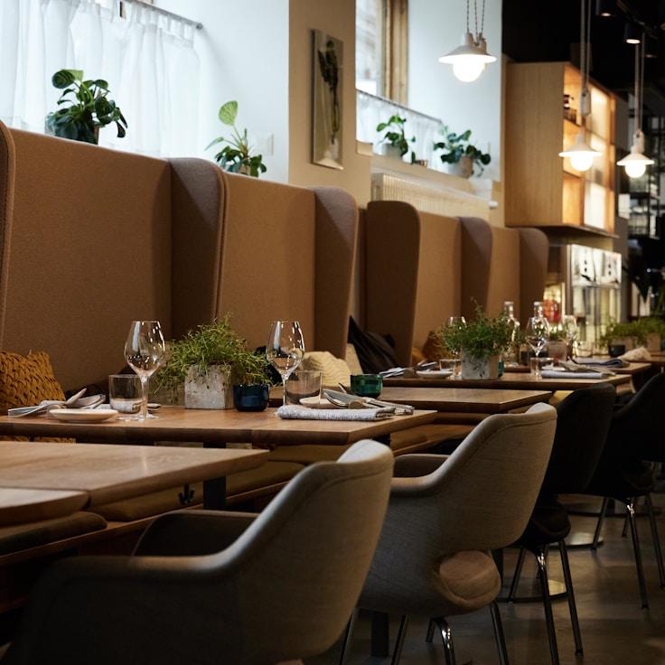 School choices for expat families in London, United Kingdom